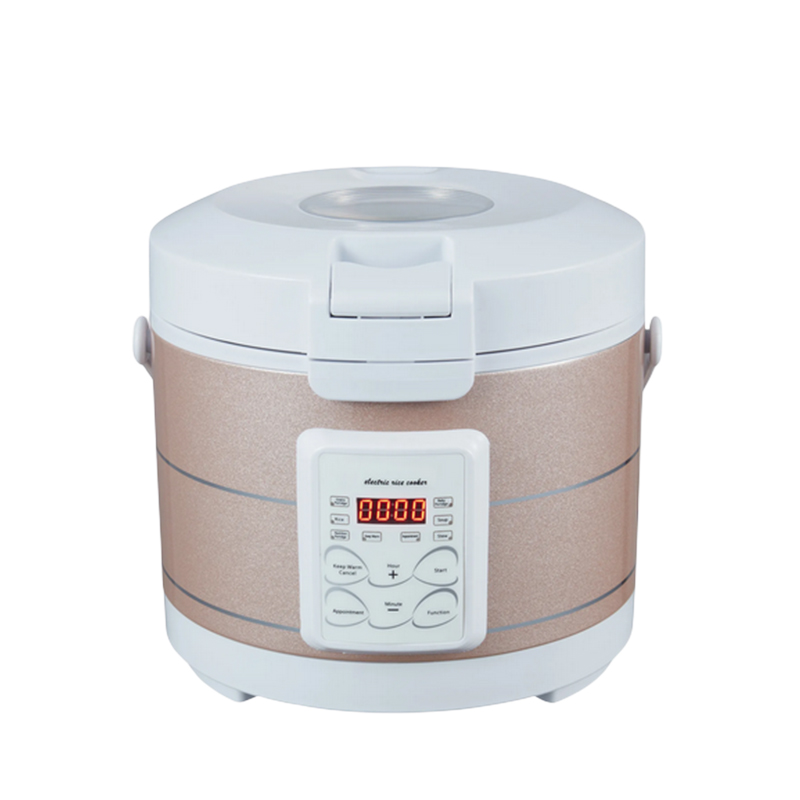 Home Cooking Heater - Cuiseur à riz 12-24V 220V, cuiseur