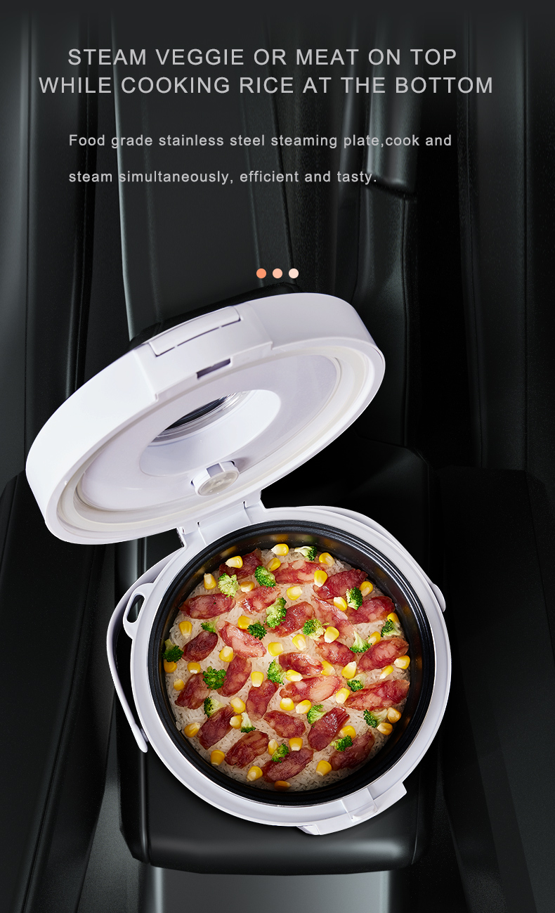 Cuiseur à riz 24V, chauffe-pla - Home Cooking Heater avis et prix