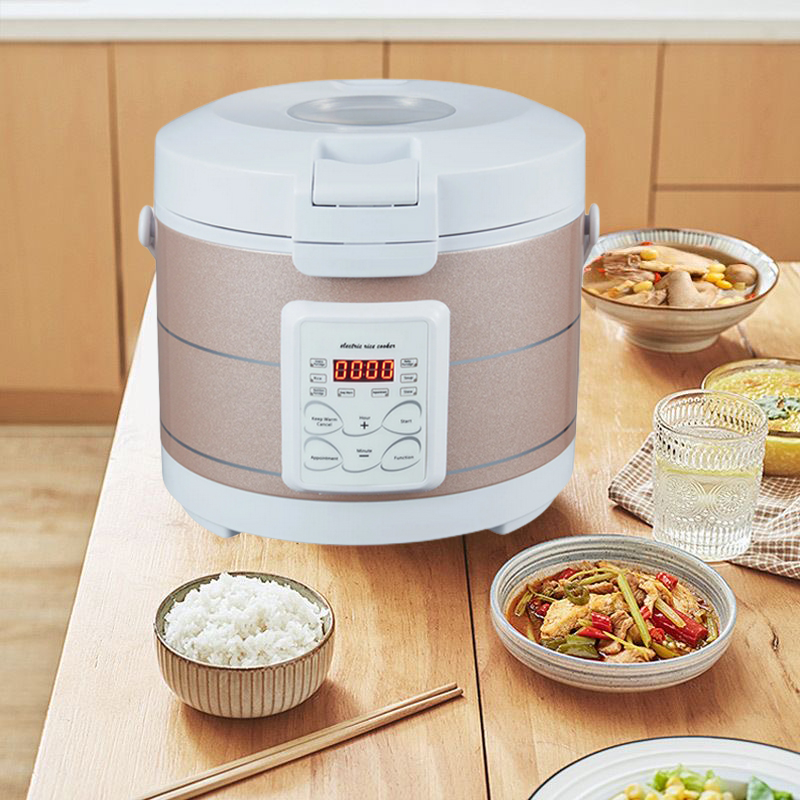 Cuiseur à riz 12-24V 220V, cui - Home Cooking Heater avis et prix